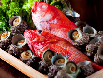 旬魚旬菜 びんびや 江坂 掲載期間 21 10 27 21 11 10 求人 居酒屋 和食 吹田市 転職 店舗情報 飲食店求人グルメキャリー 関西版