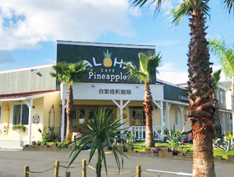 ALOHA cafe pineapple 宝塚店 求人情報