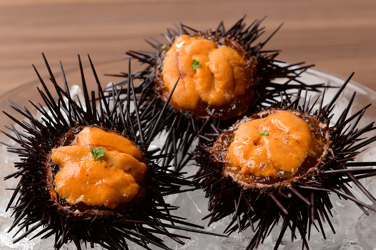 博多海鮮 和たつ美 博多本店