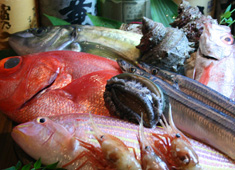 魚や 旬平 求人 鮮度には自信あり！素材の旨味を活かしています。