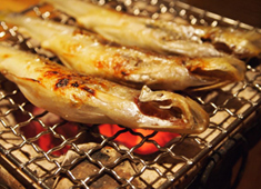 鯛めし　銀家・銀まる 求人 