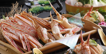 Dining 琴引 求人