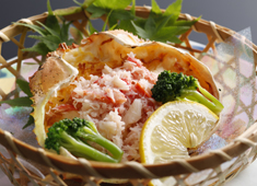Dining 琴引 求人 