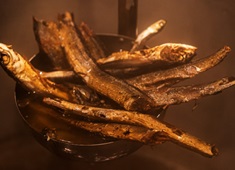 株式会社GOLD-STAR 求人 素材にこだわり抜く一杯。プライドを込めたラーメンで笑顔を生み出そう！