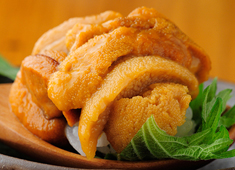 寿司屋 まつい／野田商店(魚屋) 求人 