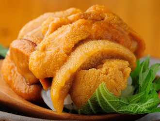 寿司屋 まつい／野田商店(魚屋) 求人