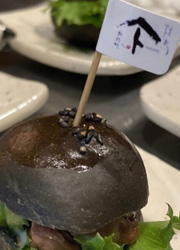 yamato yakitori x terroir/焼鳥YAMATO香港・北新地 求人