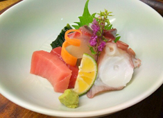 おでんと和食　ひとくち 求人 お造りや焼き物に揚げ物、小鉢など多彩な一品料理を取り揃えています。