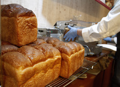 BAKERY&CAFE GAUDI大東本店・松原店・四條畷店・おおとりウイングス店 求人 