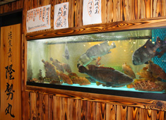 活魚専門 隆勢丸 求人 