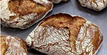 Breads Bakery K's他（株式会社 五穀屋ダイニング） 求人