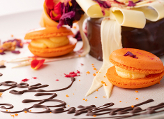 株式会社 FIERTE 高級レストラン業態開発チーム 求人 