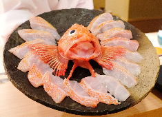 寿司赤酢 北新地店／寿司赤酢 望月／寿司赤酢 遊／鮨いわもと【株式会社 寿司赤酢】 求人 「脂たっぷり」の、稀少部位も扱えます。