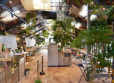 FARMER'S KITCHEN／株式会社ユニバーサル園芸社 求人 野菜・オーガニックの料理等に興味のある方であれば、なお歓迎します！自然に囲まれた環境で仕事をしたい方に最適です！