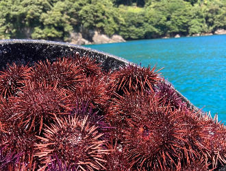 祇園やまぐち 求人