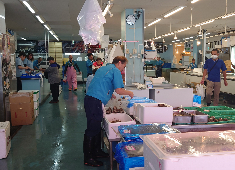 株式会社オノウエ 求人 