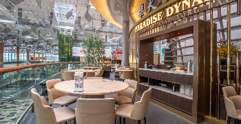 Paradise Dynasty 求人