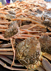 株式会社ジオ 求人