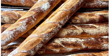 株式会社 五穀屋ダイニング/Breads Bakery K's他 求人