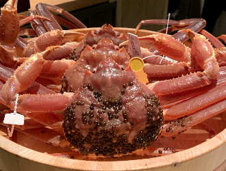 株式会社アンカー 求人