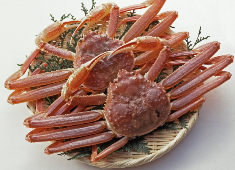 株式会社アンカー 求人 