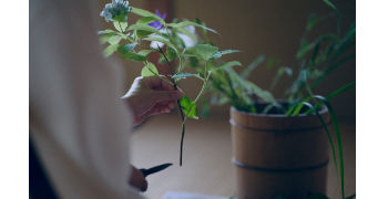 割烹 吾汝/株式会社Atona 求人