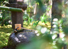 五感のみのり株式会社 懐石の伝統に茶の湯や精進のエッセンスを重ね、ここでしか味わえないような特別な一皿を。