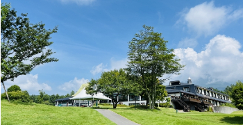 株式会社魚国総本社 求人