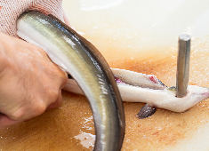 株式会社HOPE／【カフェ事業】【うなぎ事業】 求人 