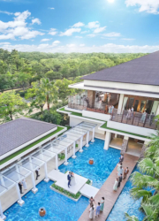 株式会社ディアーズ・ブレイン 求人