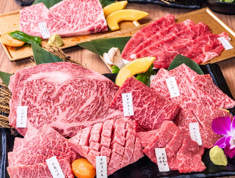 株式会社ブリッジフォー 求人