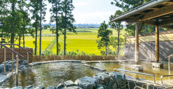 株式会社フラット・フィールド・オペレーションズ 温浴施設内レストラン事業部 求人