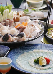味の関所 大よし／味わいの路 大よし 本店 求人
