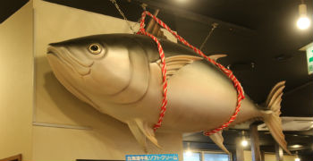 魚輝水産　鮪船　河内長野店 求人