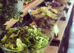 Farmers CAFEandGRILL 「NALA　restaurant」／株式会社 徳 求人 
