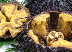魚屋 旬平 求人 鮮度には自信あり！素材の旨味を活かしています。