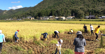 福助グループ 求人