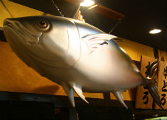 海鮮れすとらん魚輝水産　豊中庄内店 求人 