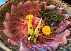 先斗町 魯ビン 求人 希少な魚や高級魚など、当店ならなかなか触れることができない食材にも触れることができます。