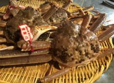 先斗町 魯ビン 求人 毎日市場で買い付ける新鮮な素材。季節ごとに最高の食材を仕入れ、旨みを最大限活かした料理を提供しています。