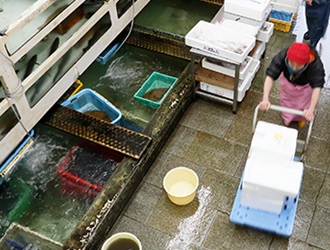 株式会社魚芳 求人