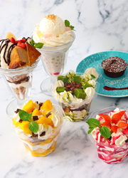 mango tree cafe EXPOCITY (株式会社ミールワークス 求人