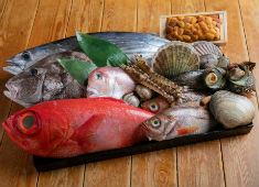 漁港直送 海鮮酒場 あんじ（有限会社あんじ） 求人 いつでも新鮮な素材を提供し続けることができるルートを当社は持っています。