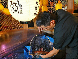 「磯銀 淀屋橋店」「九州うまか 北浜店」 求人