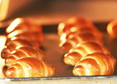 光明興業株式会社 求人 