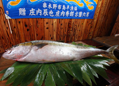 活魚専門 隆勢丸 求人 素材の良さは駅ビル最高峰レベル！自分で釣ったきた天然の活魚を提供することも！