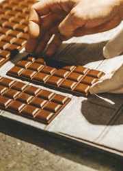 green bean to bar CHOCOLATE（グリーン ビーン トゥ バー チョコレート）／株式会社ロイヤル・アーツ 求人