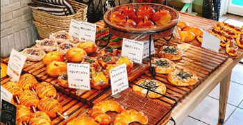 モンステラ　社会福祉法人　以和貴会 求人