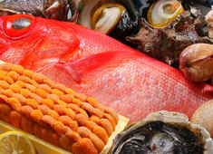活魚専門 隆勢丸 求人 素材の良さは駅ビル最高峰レベル！自分で釣ったきた天然の活魚を提供することも！
