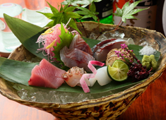 旬家　和しん 求人 毎朝市場で仕入れる鮮度抜群の魚を扱えます。